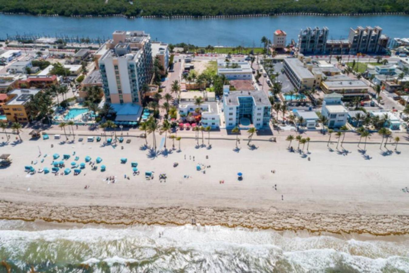 Walkabout 6 Suite On Hollywood Beach With Ocean Views 好莱坞 外观 照片